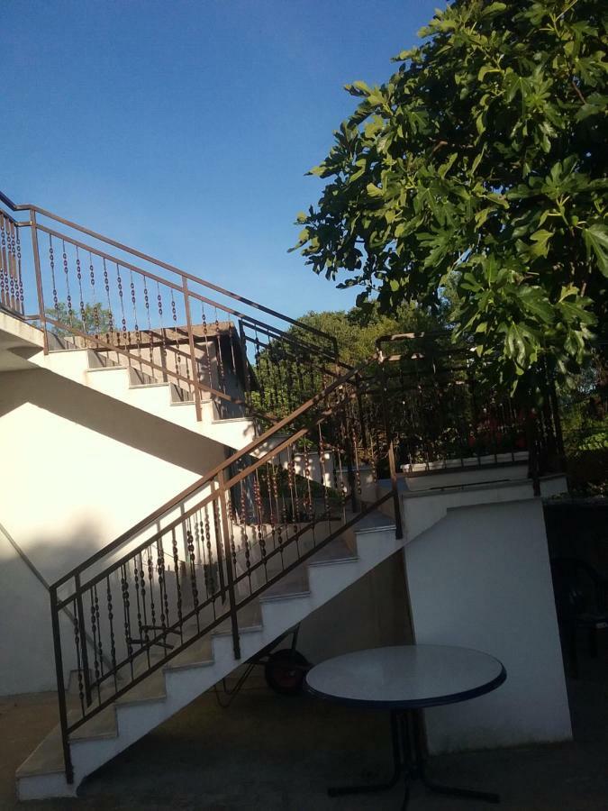Milda+M Apartment Skradin Exterior foto